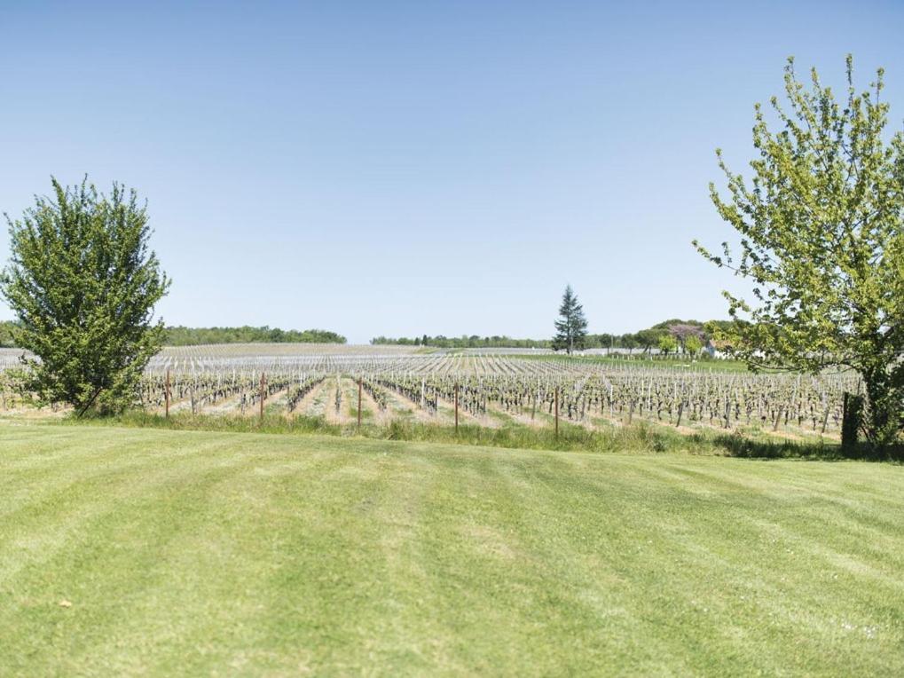 Готель Domaine De Quittignan Brillette Moulis-en-Medoc Екстер'єр фото