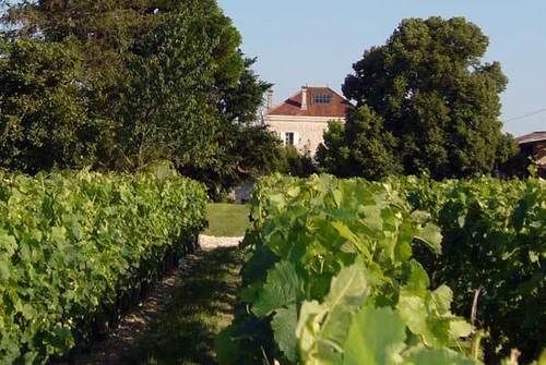Готель Domaine De Quittignan Brillette Moulis-en-Medoc Екстер'єр фото